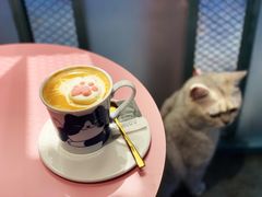 -喵屿·大理花园猫咖