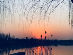 -马家湾湿地公园