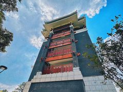 -王借岗森林公园