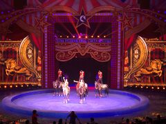 -珠海横琴长隆《卡卡虎奇遇记》