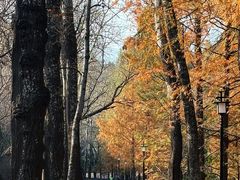 -白水寺森林公园