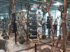 -海合安武汉极地海洋公园