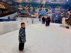 -世界之窗阿尔卑斯冰雪世界