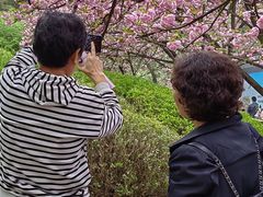 -西安青龙寺遗址景区