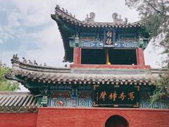 -洛阳白马寺
