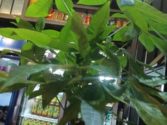 -湘当爱·鲜煮现炒(松岗立业路店)