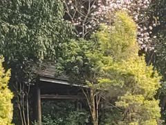 -和顺柏联温泉