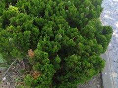 -鱼酷活鱼烤鱼(中联广场店)