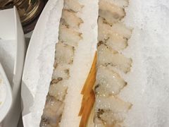 活海参薄切-海鲨湾海鲜会馆(百家湖1912店)