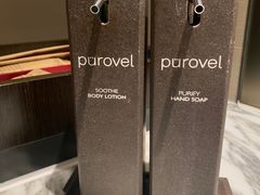 -新加坡瑞士史丹福酒店