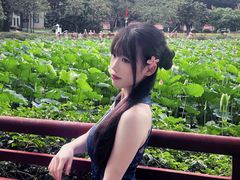 -荔湾湖公园