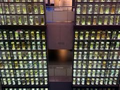 -广东中医药博物馆