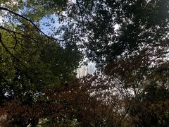 -花溪公园