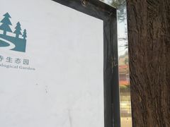 -龙寺生态园