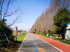 -上海长兴岛郊野公园