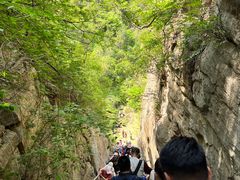 -龙洞风景区-藏龙涧