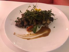 -百好乐宠物友好餐厅(朝外大街店)