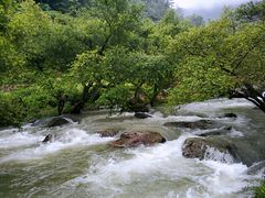 -百杖潭景区