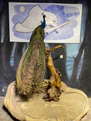 -酷嗒动物文化乐园(cutezoo西溪乐天城店)