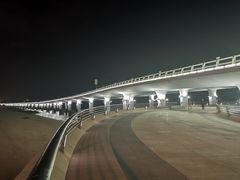 -演武大桥观景平台
