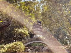 -深圳国际园林花卉博览园