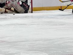 -松江大学城体育馆滑冰馆