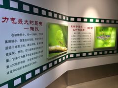 -上海昆虫博物馆