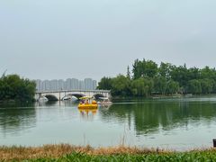 -洋湖国家湿地公园