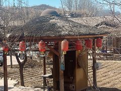 -老村长农家院