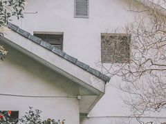 -南山植物园