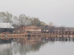 -西青郊野公园