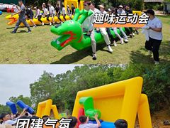 -松山湖南湖湾露营营地