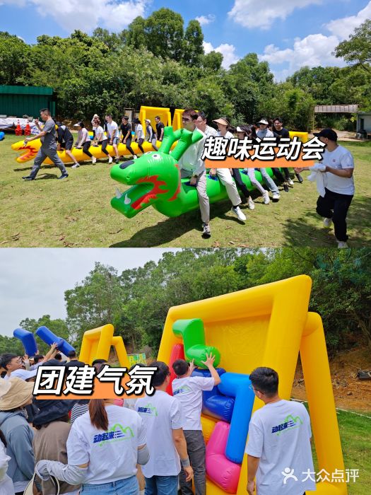松山湖南湖湾露营营地图片