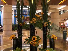 -济南喜来登酒店