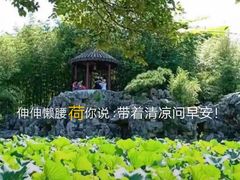 -四明山国家森林公园