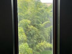 -上海崇明金茂凯悦酒店