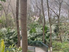 -重庆彩云湖湿地公园