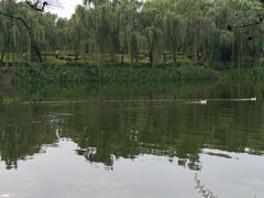 -西安汉城湖景区