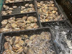 -海鲜e族(马王堆店)