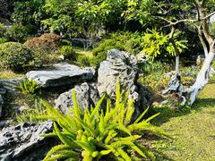 -东莞植物园