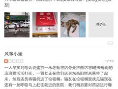 盛京一禾-盛京一禾