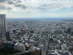 -东京都厅舍