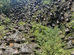 -神农架景区