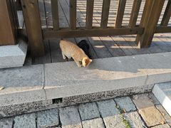 -石湖景区