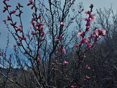 -翠云山银河滑雪场
