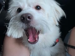 -美美酱宠物(外运路小区店)