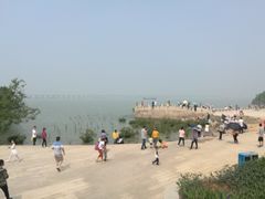 -宝安西湾红树林湿地公园