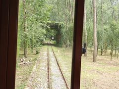 -合肥滨湖国家森林公园