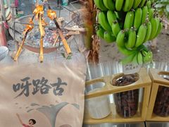 -呀路古热带植物园