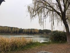 -昆山城市生态森林公园